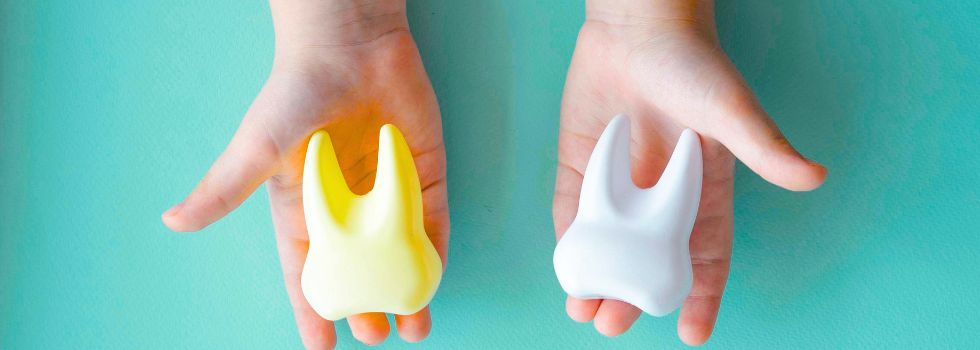 Diseño sin título (3)