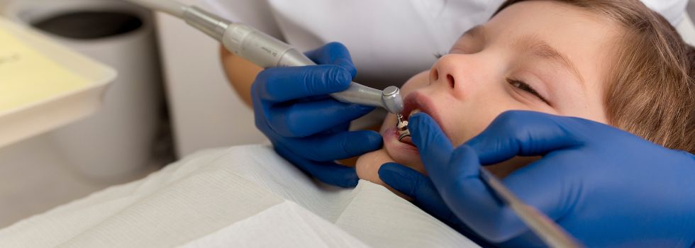 Diseño sin título (6)